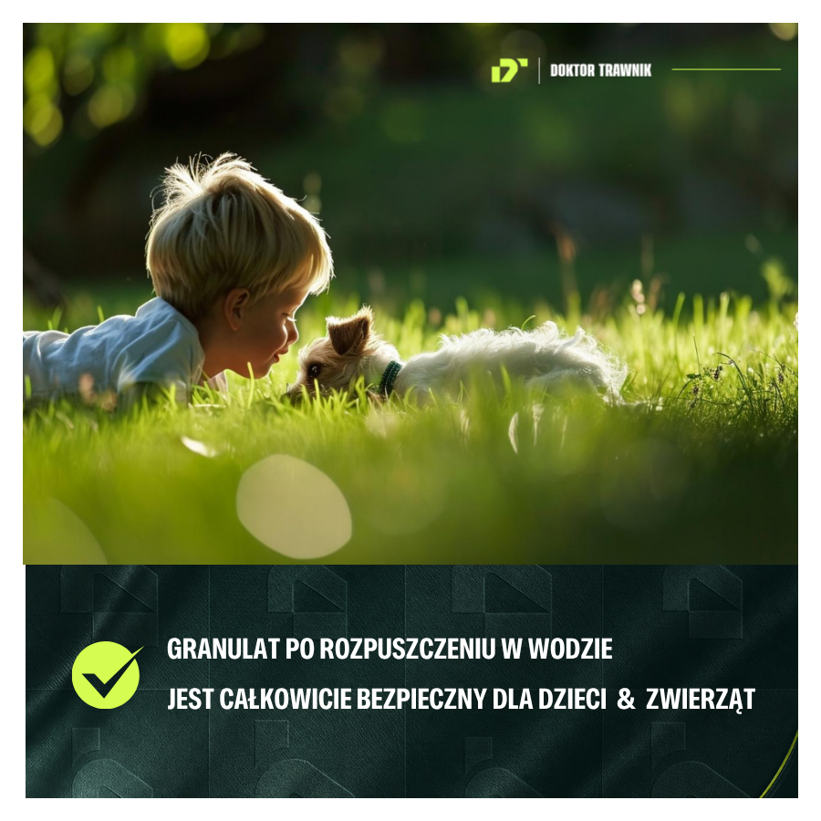 Nawóz do trawnika jesienny DT Premium Jesień długodziałający UF Premium 10 kg