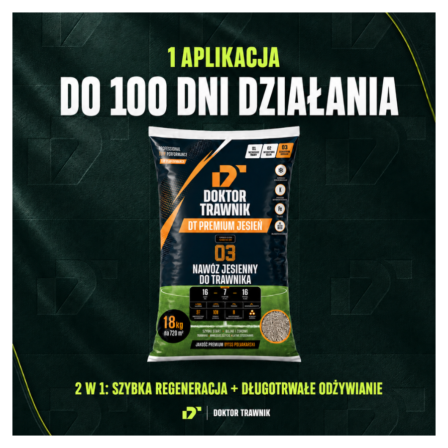 Nawóz jesienny DT Premium Jesień 5 kg + Płyn Save Water 500 ml - Trawnik 200m²