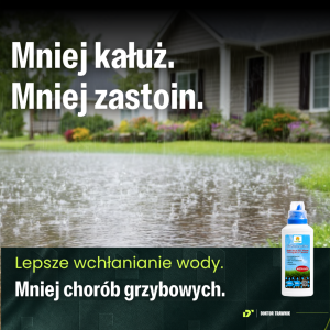 Nawóz jesienny DT Premium Jesień 5 kg + Płyn Save Water 500 ml - Trawnik 200m²