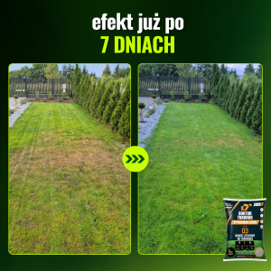 Nawóz do trawnika jesienny DT Premium Jesień długodziałający UF Premium 5 kg