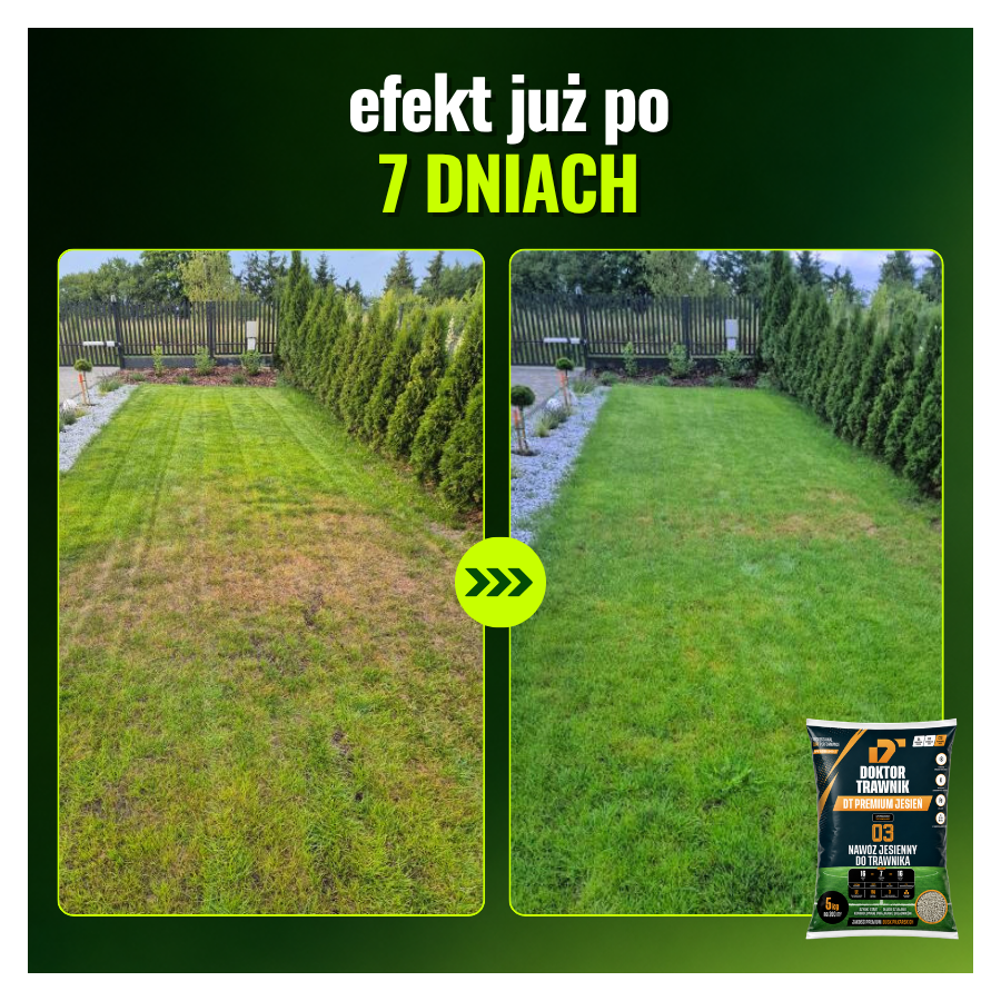 Nawóz do trawnika jesienny DT Premium Jesień długodziałający UF Premium 5 kg