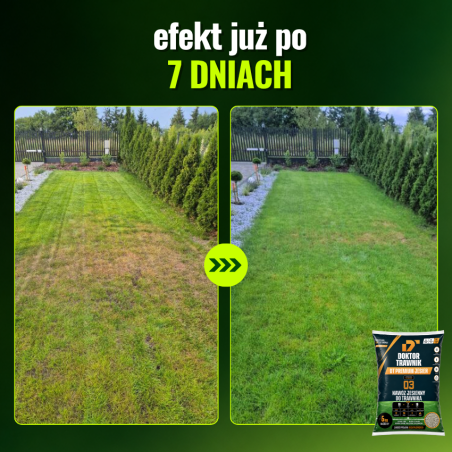 Nawóz do trawnika jesienny DT Premium Jesień długodziałający UF Premium 5 kg