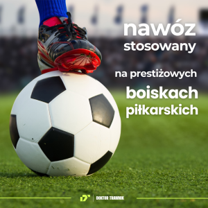 Nawóz do trawnika jesienny DT Premium Jesień długodziałający UF Premium 5 kg
