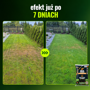 Nawóz do trawnika jesienny DT Premium Jesień długodziałający UF Premium 18 kg