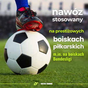 Nawóz do trawnika jesienny DT Premium Jesień długodziałający UF Premium 18 kg