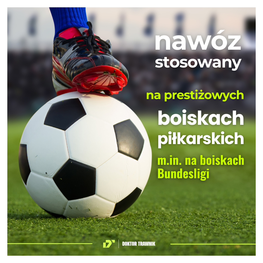 Nawóz do trawnika jesienny DT Premium Jesień długodziałający UF Premium 18 kg