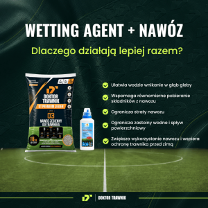 Nawóz do trawnika jesienny DT Premium Jesień długodziałający UF Premium 18 kg