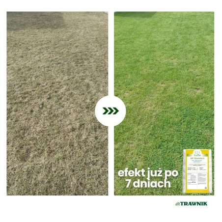 Nawóz do trawnika letni CRF PRO otoczkowany długodziałający 25 kg 100 DNI