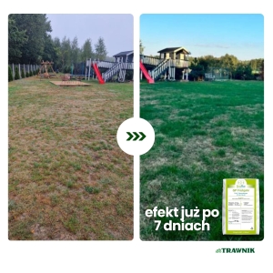 Nawóz do trawnika wiosenny CRF PRO otoczkowany długodziałający 25 kg 100 DNI