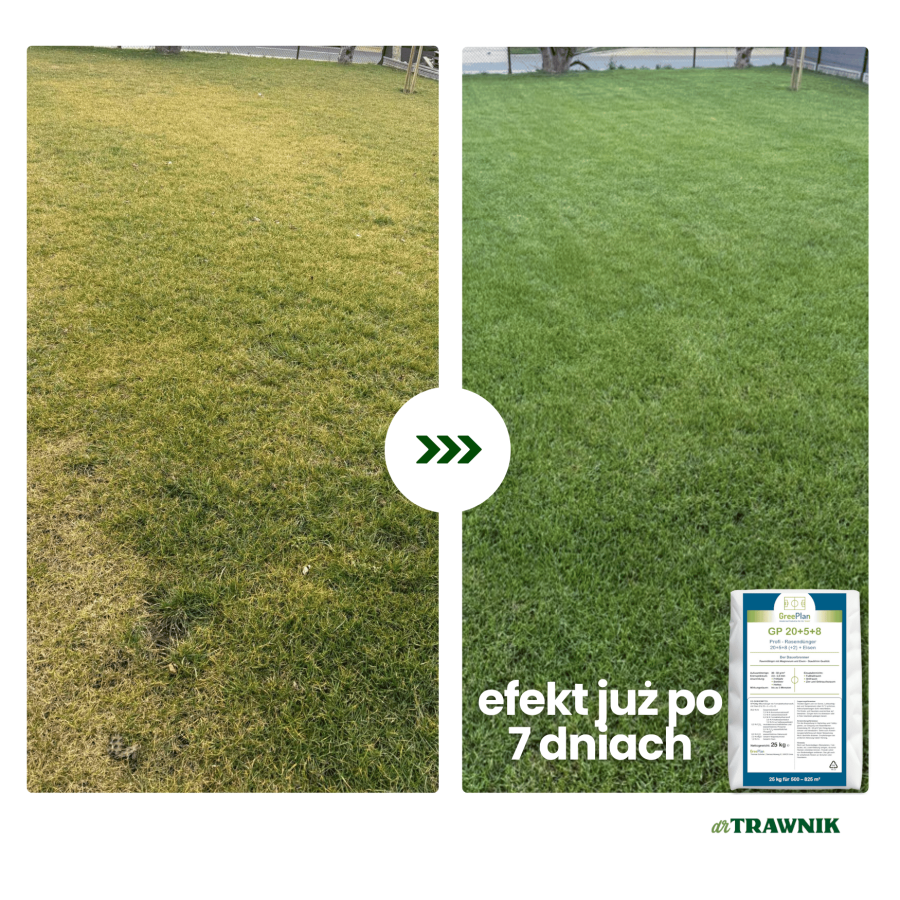 Nawóz do trawnika GP 20 + 5 + 8 PRO długodziałający z MU 25 kg