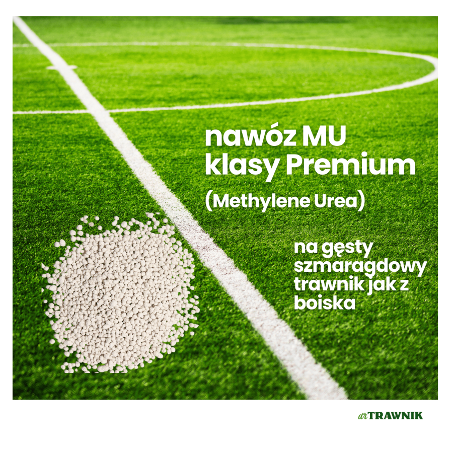 Nawóz do trawnika GP 20 + 5 + 8 PRO długodziałający z MU 25 kg