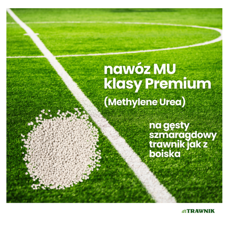 Nawóz do trawnika GP 20 + 5 + 8 PRO długodziałający z MU 25 kg