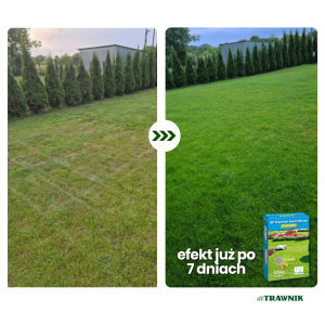 Nawóz do trawnika wiosenny GP Premium Wiosna długodziałający MU 2,5 kg