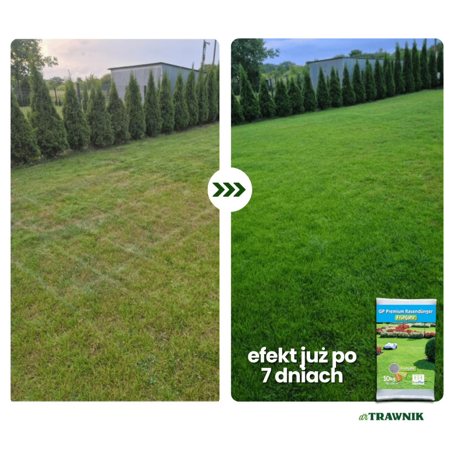 Nawóz do trawnika wiosenny GP Premium Wiosna długodziałający MU 5 kg